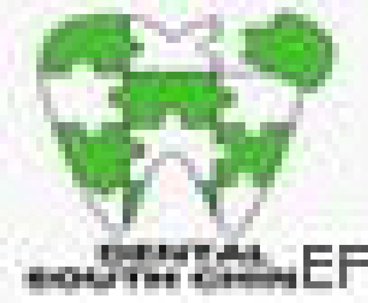 2008第十三屆華南國際口腔醫療器材展覽會暨技術研討會<br>2008年第六屆中國國際口腔保健品展覽會暨技術研討會