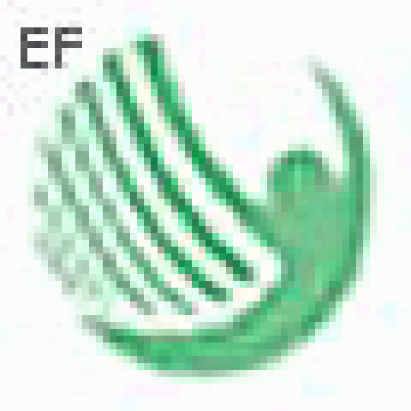 2008第三屆義烏體育用品及健身器材采購交易會