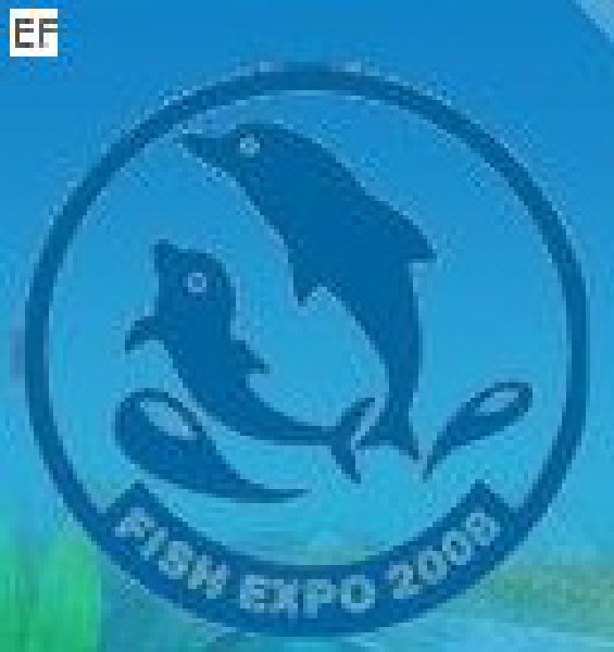 第三屆中國(guó)國(guó)際(廈門(mén))漁業(yè)博覽會(huì)