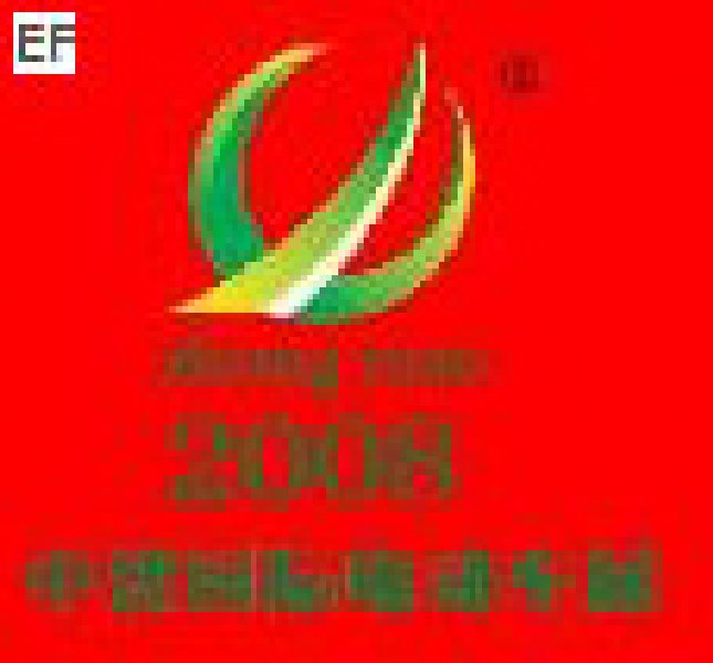 2008第五屆中國(濟南)國際自行車電動車展覽會