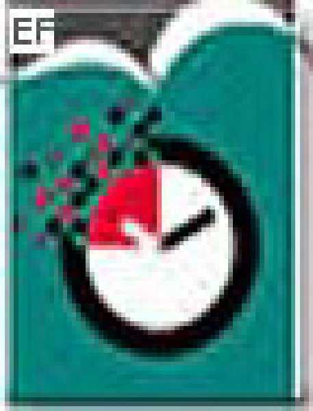 香港鐘表展 2008