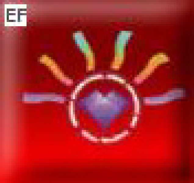 第二屆2008溫州國際奢侈品展覽會