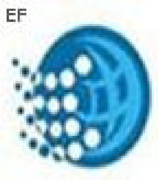 2008中國潔凈展(第十一屆中國國際潔凈技術(shù)論壇暨展覽)