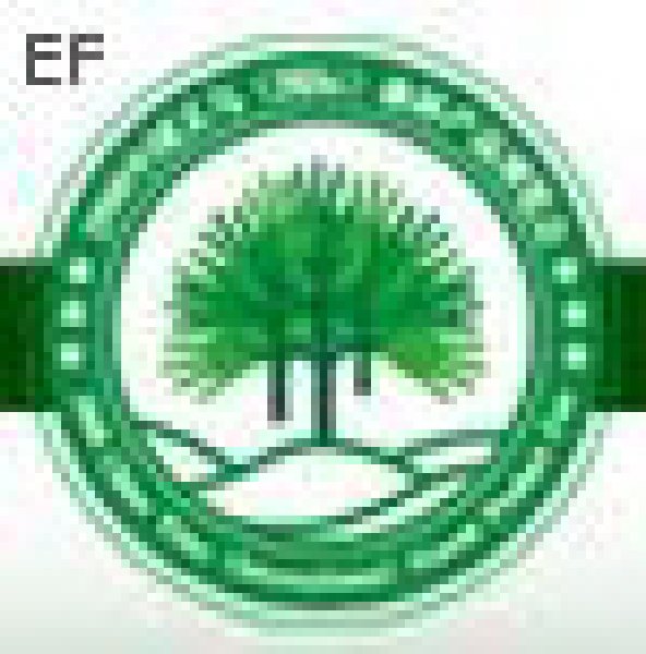 2008中國義烏(國際)森林產品博覽會