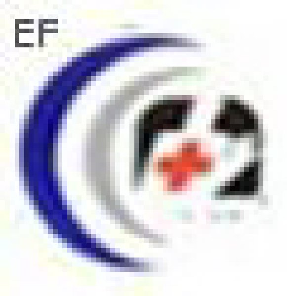 2008第五屆中國西部口腔器材(重慶)展覽會及學術交流會