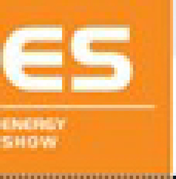 2010亞洲國(guó)際電力、電工及能源技術(shù)與設(shè)備展覽會(huì)