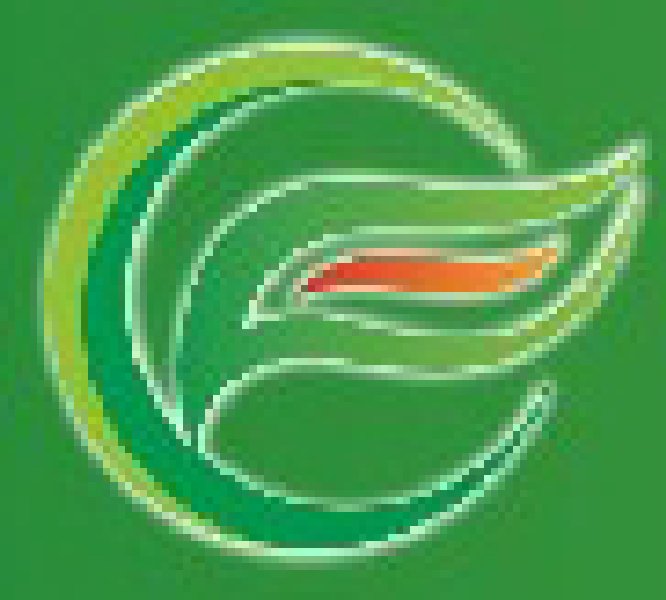 2010中國(guó)國(guó)際食品工業(yè)經(jīng)貿(mào)洽談會(huì)(中山、黃圃)