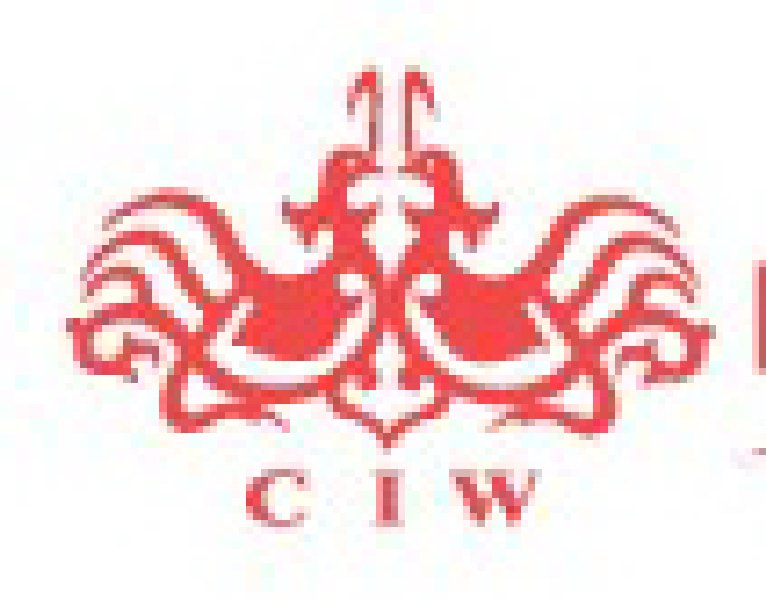 2010夏季中國(上海)婚博會