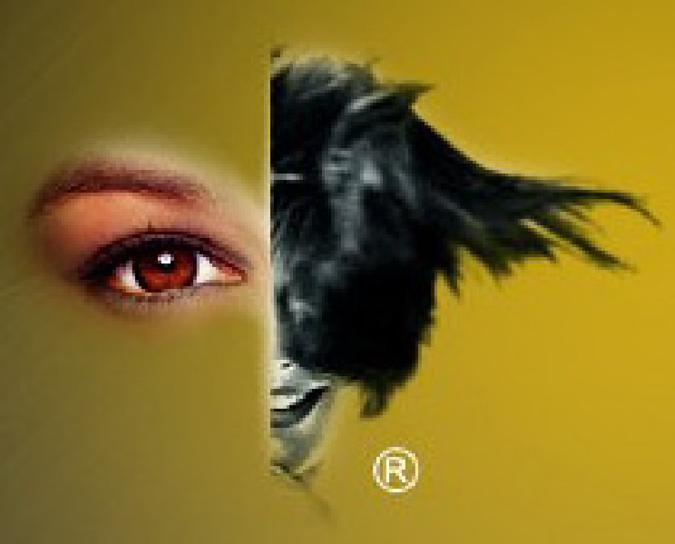 2012第十七屆中國美容博覽會(huì)(上海CBE)