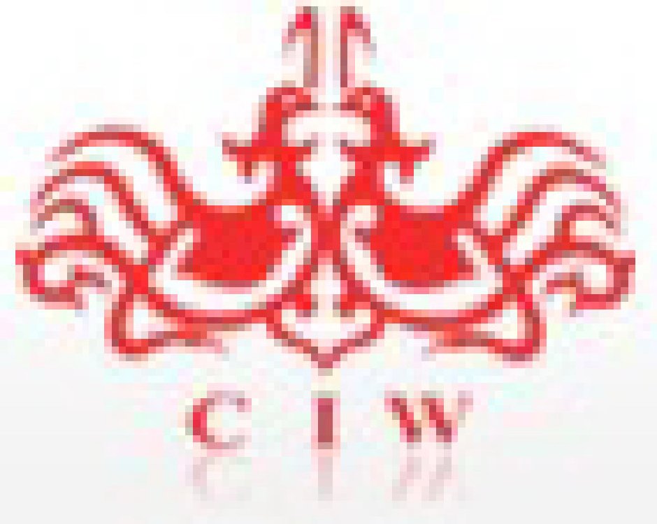 2011春季中國(廣州)婚博會