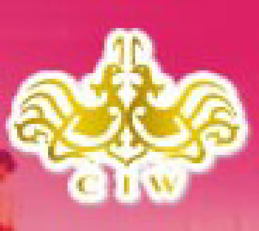 2011春季中國(上海)國際婚博會