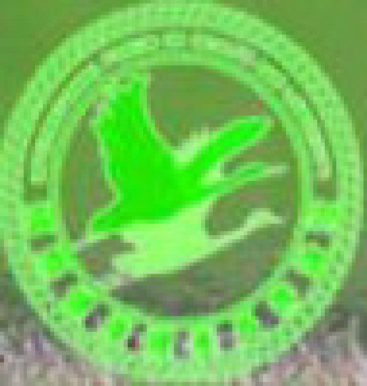 2011濟南國際健康健美長壽論壇暨健康產業博覽會