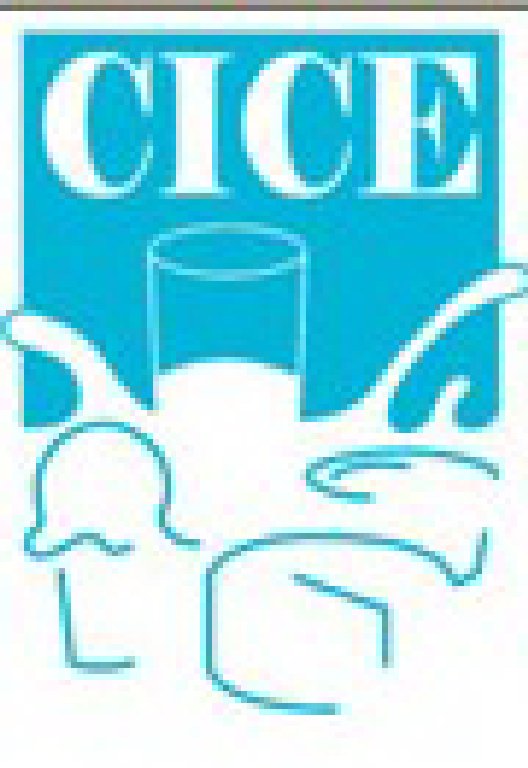 2011第二屆上海冰淇淋、冷凍食品工業展覽會