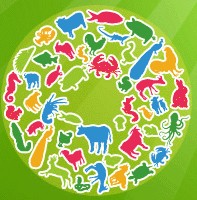 2013首屆中國(guó)(上海)養(yǎng)殖博覽會(huì)