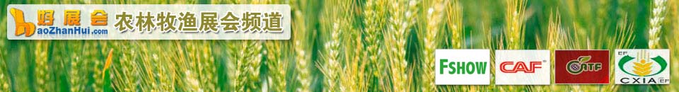 2025第18屆中國義烏國際森林產(chǎn)品博覽會